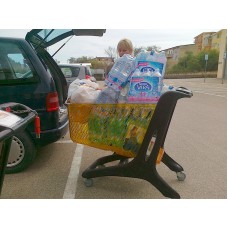 Покупательская тележка Rabtrolley MAXI Eko